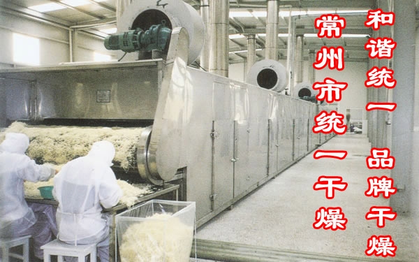 脫水蔬菜專用帶式干燥機