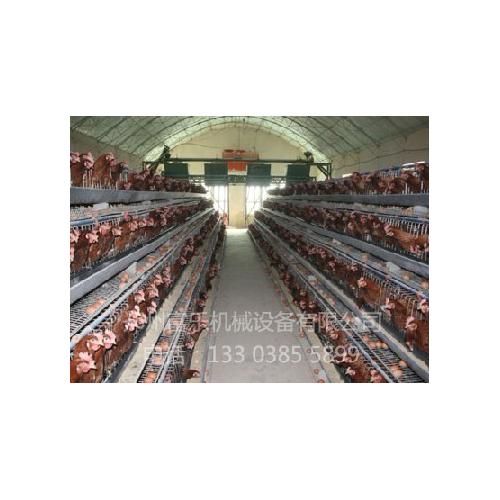 全自動雞場喂料機系列產品