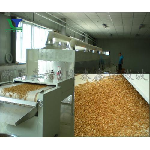 黃粉蟲微波干燥設備|微波粗飼料烘干機